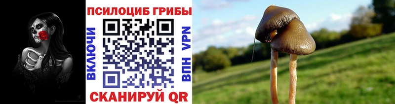Галлюциногенные грибы мухоморы  Нижний Тагил 