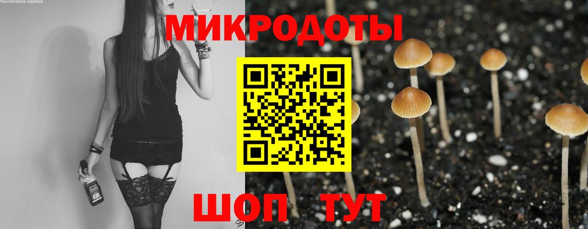 купить закладку  Вход с VPN  Нижний Тагил  Псилоцибиновые грибы MAGIC MUSHROOMS 
